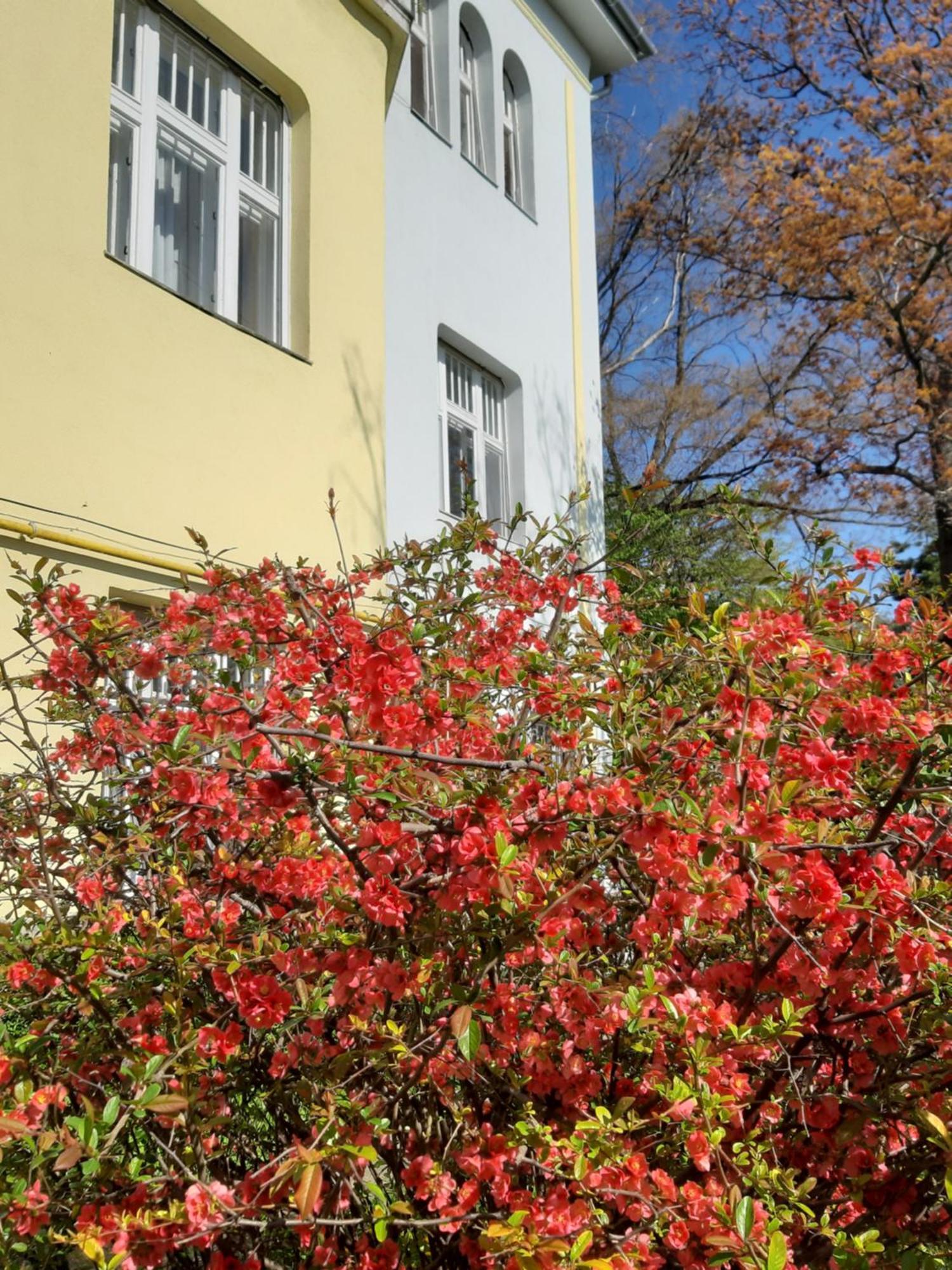 Green Hill Apartment Budapest Eksteriør bilde